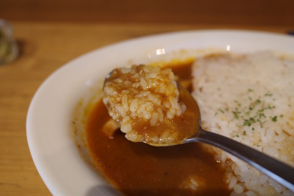 一口のスパイシーチキンカレー