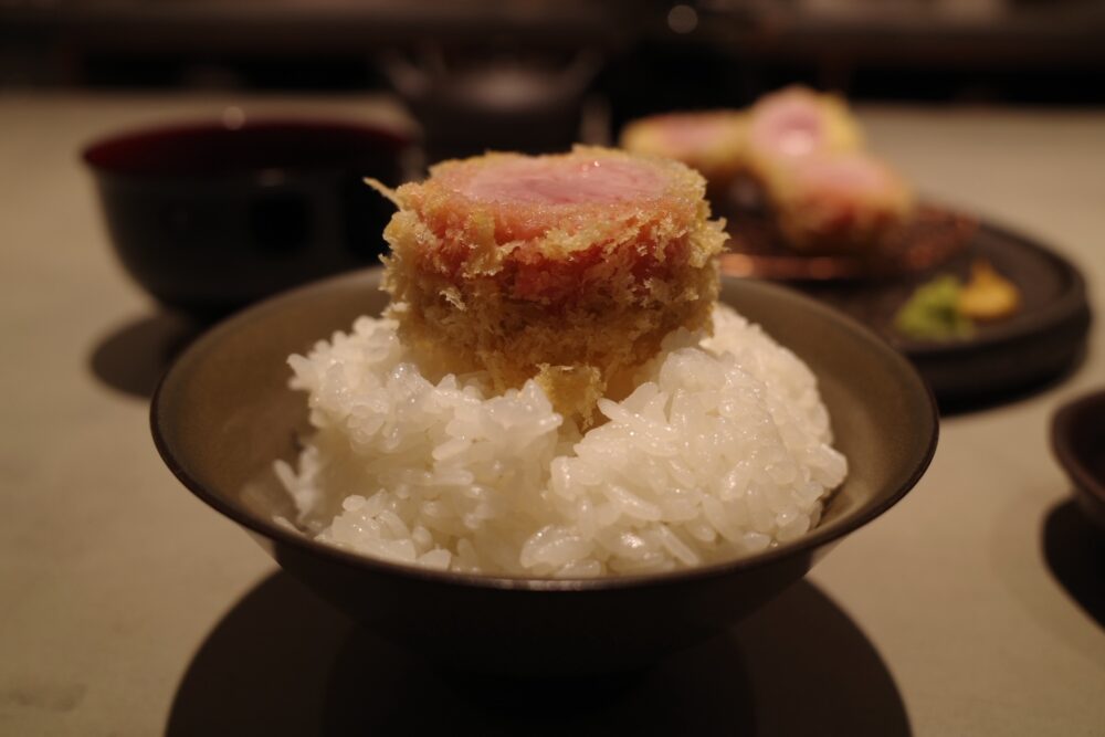 横から上フィレかつをのせたご飯