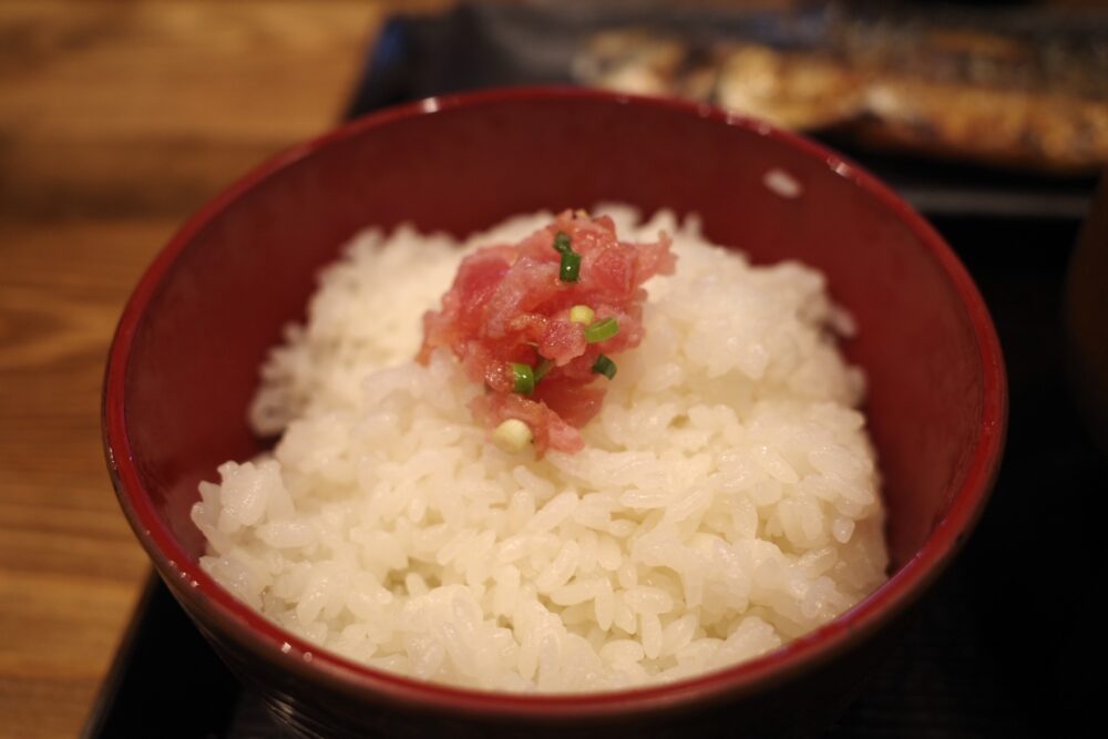 ネギトロご飯
