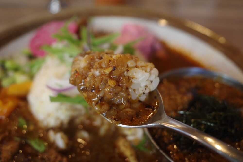 一口のアンダーソンチキンカレー