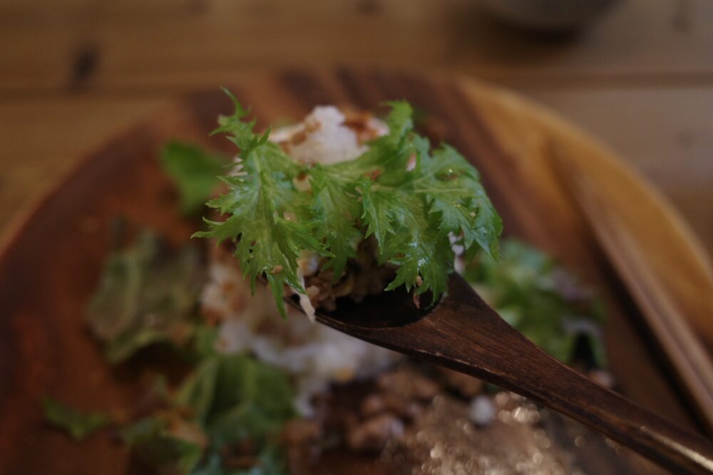 一口のとろ〜り半熟卵のガパオライス