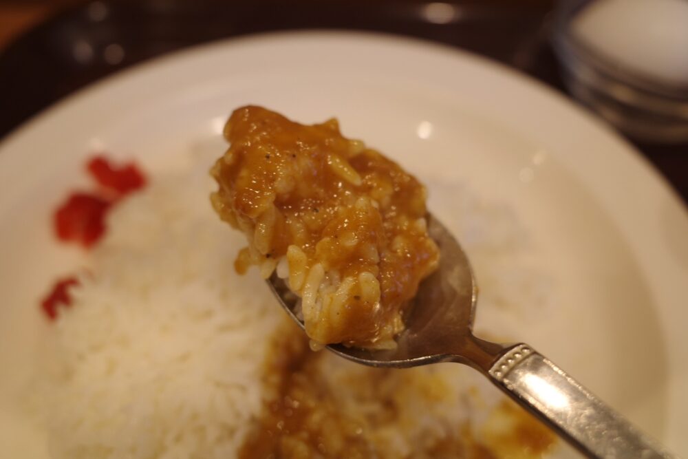 一口のポークカレーライス