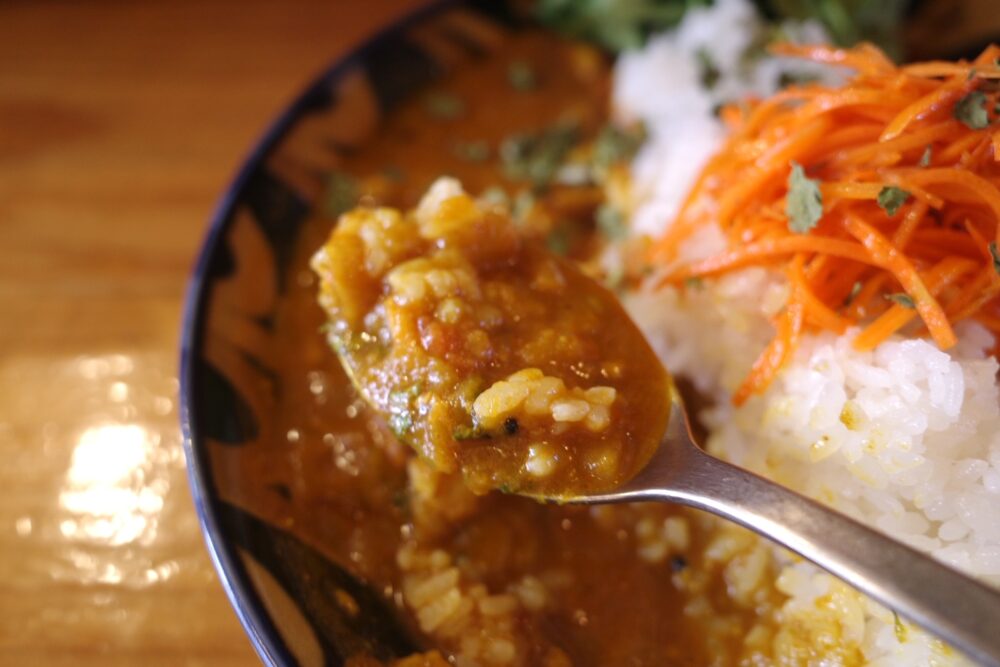 一口の新玉ねぎチキンカレー